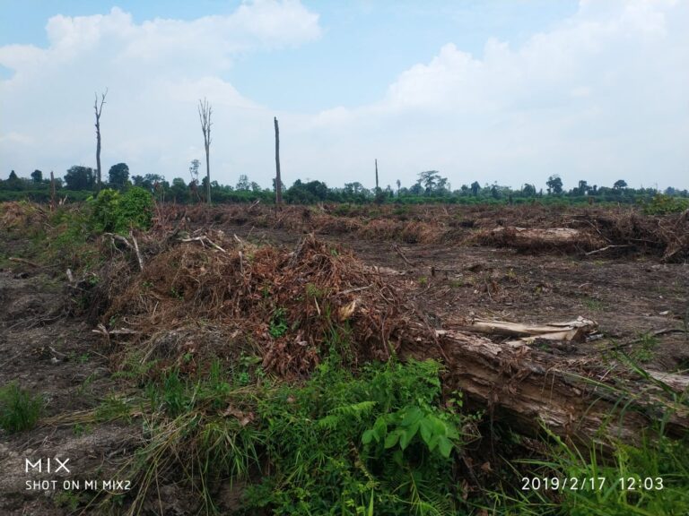 WhatsApp Image 2026-04-25 at 15.44.07 (2)